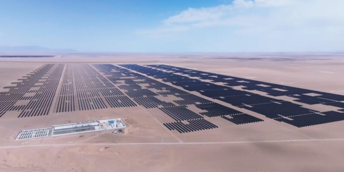 Trinasolar’s Vertex modules revive the Gobi Desert, expanding clean energy and ecological recovery