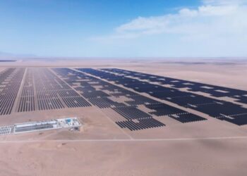 Trinasolar’s Vertex modules revive the Gobi Desert, expanding clean energy and ecological recovery