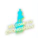 2025 Zhongshan Investment Promotion Conference Highlights and Shenzhen-Zhongshan Link’s First Anniversary
