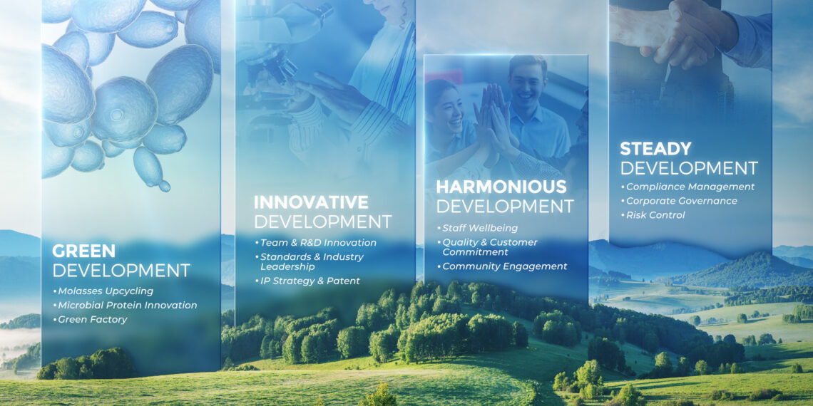 Angel Yeast Unveils 2024 Sustainability Report, Showcasing Commitment to Green Practices and Innovation