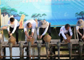 Research Report on China-Indonesia Mangrove Protection under the Belt and Road Initiative Based on Enterprise Practices Released
