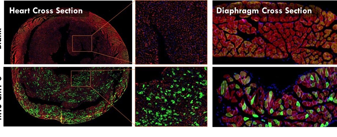 METiS Technologies Showcases AI-Powered Nanodelivery Platform at the 2025 Controlled Release Society Annual Meeting