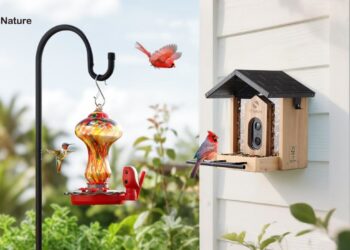 The Perfect Gift for Bird Lovers: TT Nature’s Smart Feeders Delight on Any Occasion