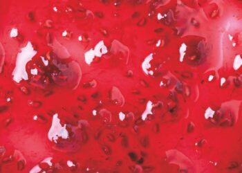 Jungbunzlauer Launches New TayaGel® LA at IFT First 2025, strengthening its texturants portfolio