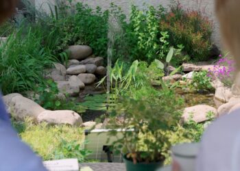 Poposoap’s DIY Garden Fountains Offer Backyard Calm Just in Time for Prime Day