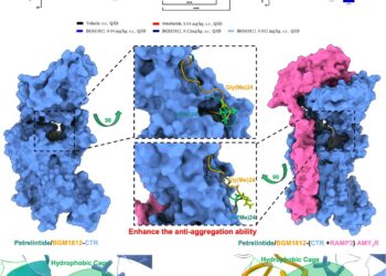 Divamics’ AI and Molecular Dynamics Platform Powers Breakthroughs in Metabolic Disease Drug Discovery for Partners