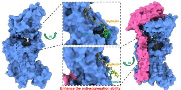 Divamics’ AI and Molecular Dynamics Platform Powers Breakthroughs in Metabolic Disease Drug Discovery for Partners