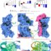 Divamics’ AI and Molecular Dynamics Platform Powers Breakthroughs in Metabolic Disease Drug Discovery for Partners