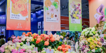 Kunming to Host the 23rd Kunming International Flower Expo, Showcasing Global Floriculture Innovations