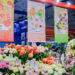 Kunming to Host the 23rd Kunming International Flower Expo, Showcasing Global Floriculture Innovations