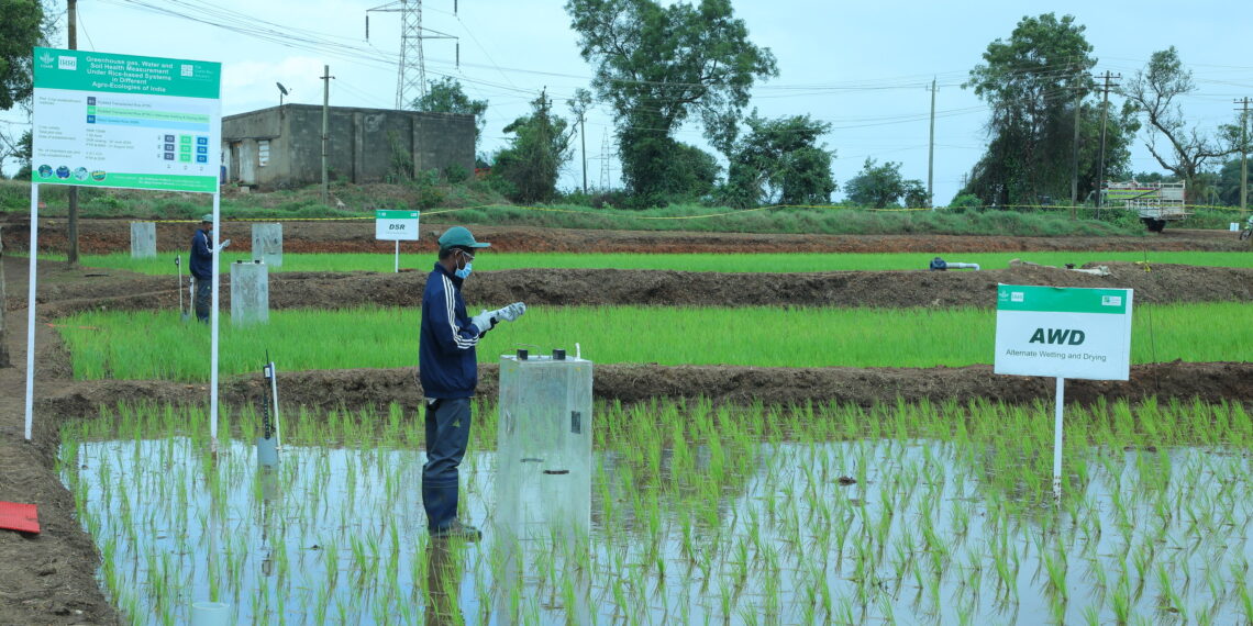 The Good Rice Alliance Awarded ‘Ae’, a top quartile ex ante rating, by BeZero Carbon