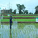 The Good Rice Alliance Awarded ‘Ae’, a top quartile ex ante rating, by BeZero Carbon