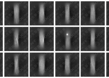 GLOBAL FIRST “High-Definition Image”: Decoding the “Code of Youth” – LivingPhoenix’s POGMENT Collagen Breakthrough Fills Global Gap