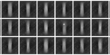 GLOBAL FIRST “High-Definition Image”: Decoding the “Code of Youth” – LivingPhoenix’s POGMENT Collagen Breakthrough Fills Global Gap