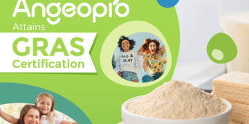 Angel Yeast Protein Receives U.S. GRAS Certification, Opening the Door to Broader Access to Sustainable Protein