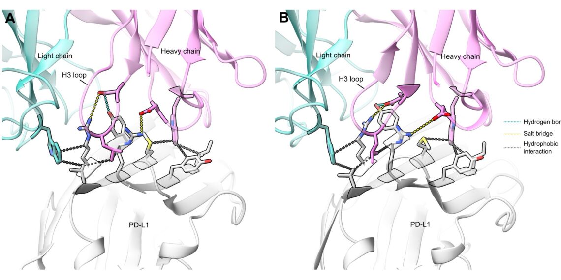 Galux Demonstrates De Novo Antibody Design With Structural and Functional Validation Across Eight Targets