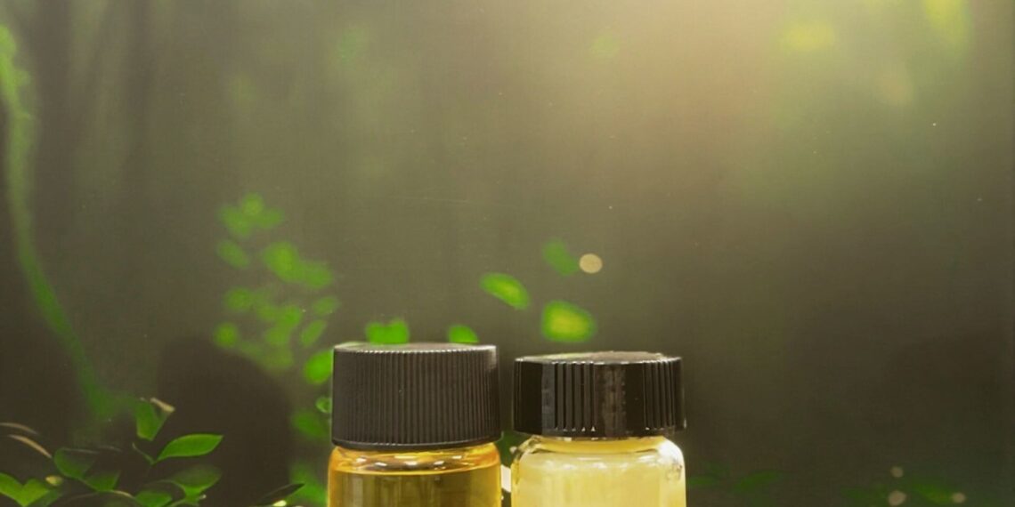 Terra Oleo Emerges from Stealth with US$3.1M in Funding and Breakthrough Energy Fellow Selection to Reinvent Fats and Oils