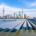 Green development blossoms in Shanghai