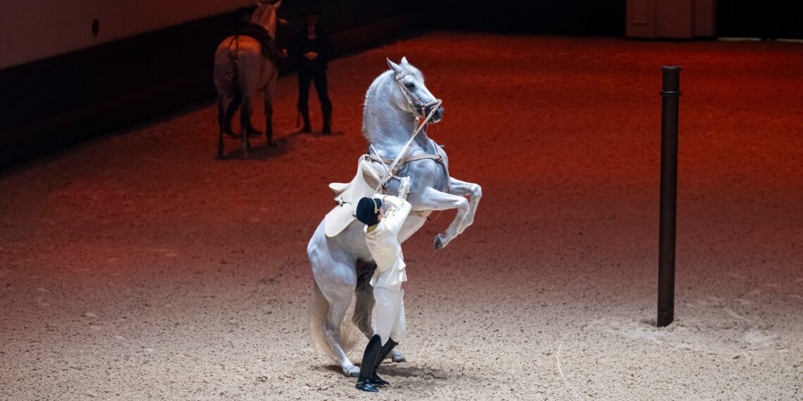 Abu Dhabi Royal Equestrian Arts, the World’s Fifth School of Classical Horsemanship, Officially Opens Its Doors