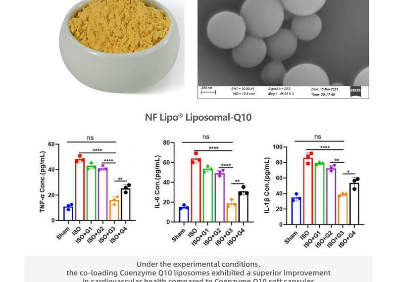 Natural Field Drives Breakthroughs in Co-loading Liposome Technology, Accelerating Upgrading of Raw Materials for Cardiovascular and Gut Health