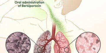 Daewoong Pharmaceutical: Third IDMC Reaffirms Safety of Bersiporocin and Recommends Continuation of Global Phase 2 Clinical Trial