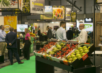 Fruit Attraction 2025 Strengthens Its Global Leadership with a Record 121,137 Trade Professionals