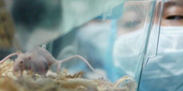 HanchorBio’s Novel CD47-SIRPα Therapeutic HCB101 Accepted for Publication in Prestigious Journal of Hematology & Oncology