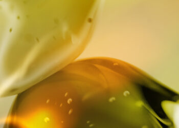 Eurofragance introduces Olivante®, its latest proprietary perfumery ingredient