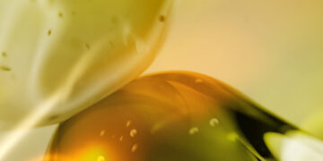 Eurofragance introduces Olivante®, its latest proprietary perfumery ingredient