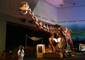 Singapore’s Ultimate Prehistoric Adventure Begins at Science Centre Singapore