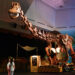 Singapore’s Ultimate Prehistoric Adventure Begins at Science Centre Singapore