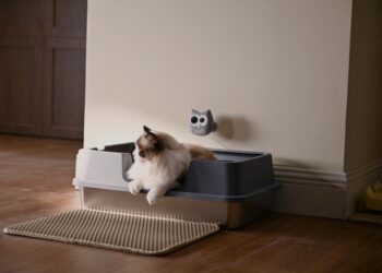 SiiPet Launches LitterLens SmartCare Monitor, the World’s First Feline Cat Litter Box Camera