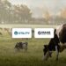 Utility Global and Maas Energy Works Announce Agreement to Develop Dairy Digester-to-Hydrogen Mobility Project in California