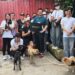 Vantage Foundation Volunteers Bring Compassion and Care to Rescued Dogs at Laws for Paws Vietnam