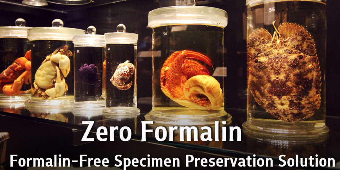 Zero Formalin Specimen Preservation Solution for Formalin-Free Classrooms