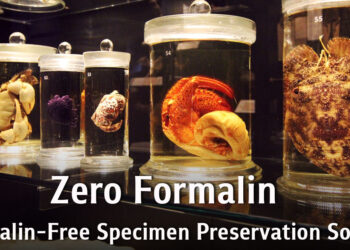 Zero Formalin Specimen Preservation Solution for Formalin-Free Classrooms
