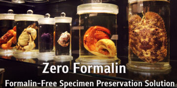 Zero Formalin Specimen Preservation Solution for Formalin-Free Classrooms