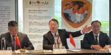 Xinhua Finance — Fengjie Navel Oranges Expand Global Reach With 10,000-Ton Export Deal Signed in Singapore