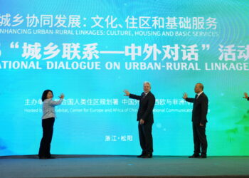 Songyang Showcases Innovative Urban-Rural Development Model at International Forum