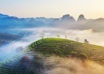 Xinhua Silk Road: SE. China city leverages ecology friendly industries to boost global presence