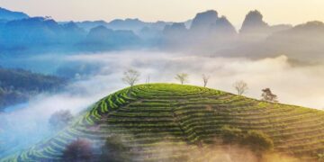 Xinhua Silk Road: SE. China city leverages ecology friendly industries to boost global presence