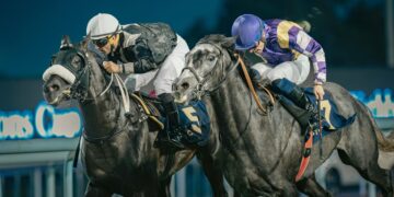 Abu Dhabi Turf Club to host 33rd UAE President Cup for Arabian Purebred Horses under the patronage of Mansour bin Zayed