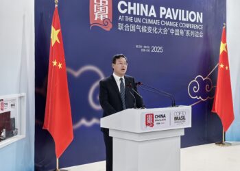 Chairman of Linglong Tire Wang Feng Delivered a Speech during COP30