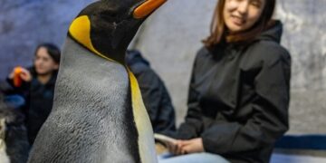 Banyan Group’s Inaugural Rainforest Festival Expands with Curated Paid Experiences from Mandai Wildlife Group and Mandai Rainforest Resort by Banyan Tree