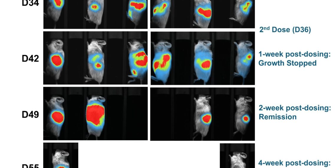 Lunai Bioworks achieves complete regression of both primary and metastatic pancreatic tumors in preclinical humanized models, marking a breakthrough in allogeneic cancer immunotherapy