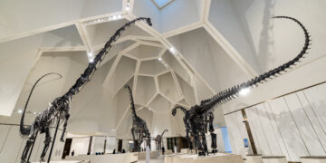 His Highness Sheikh Khaled bin Mohamed bin Zayed Al Nahyan inaugurates Natural History Museum Abu Dhabi in Saadiyat Cultural District