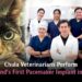 Chula Veterinarians Perform Thailand’s First Pacemaker Implant in a Cat