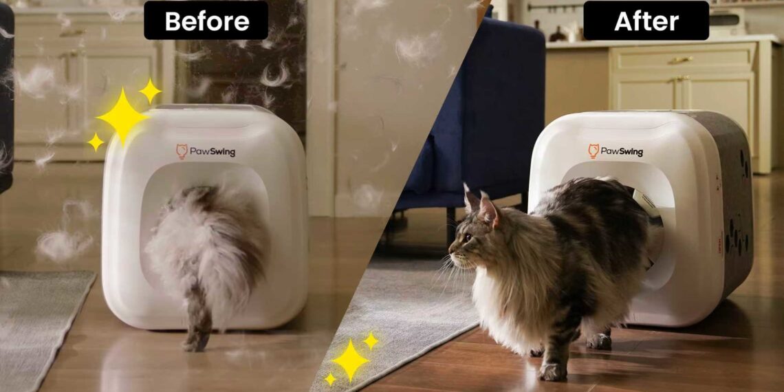 PawSwing Unveils the World’s First Bionic Self-Grooming Cat House on Kickstarter