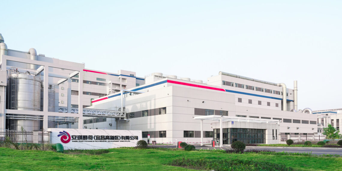 Angel Yeast starts Operating New 11,000-Ton Yeast Protein Production Line to Meet Global Demand for Sustainable Nutrition