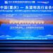 2025 China (Chongqing)-ASEAN Logistics Industry Cooperation Conference Held in Chongqing